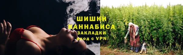 ПСИЛОЦИБИНОВЫЕ ГРИБЫ Волоколамск