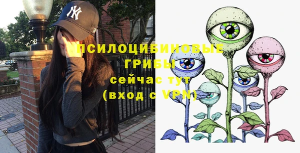 мдпв Вяземский
