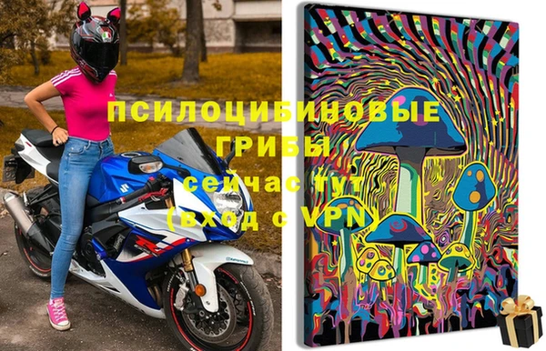 ПСИЛОЦИБИНОВЫЕ ГРИБЫ Волоколамск