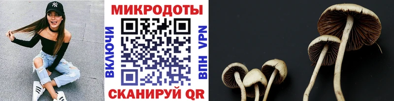 Галлюциногенные грибы Psilocybine cubensis  Любань 